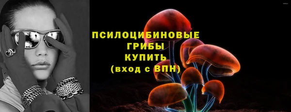 соль ск Алексин