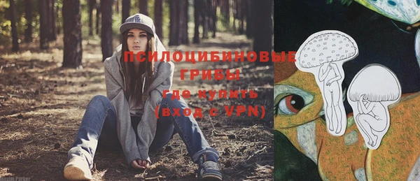 тгк Алексеевка